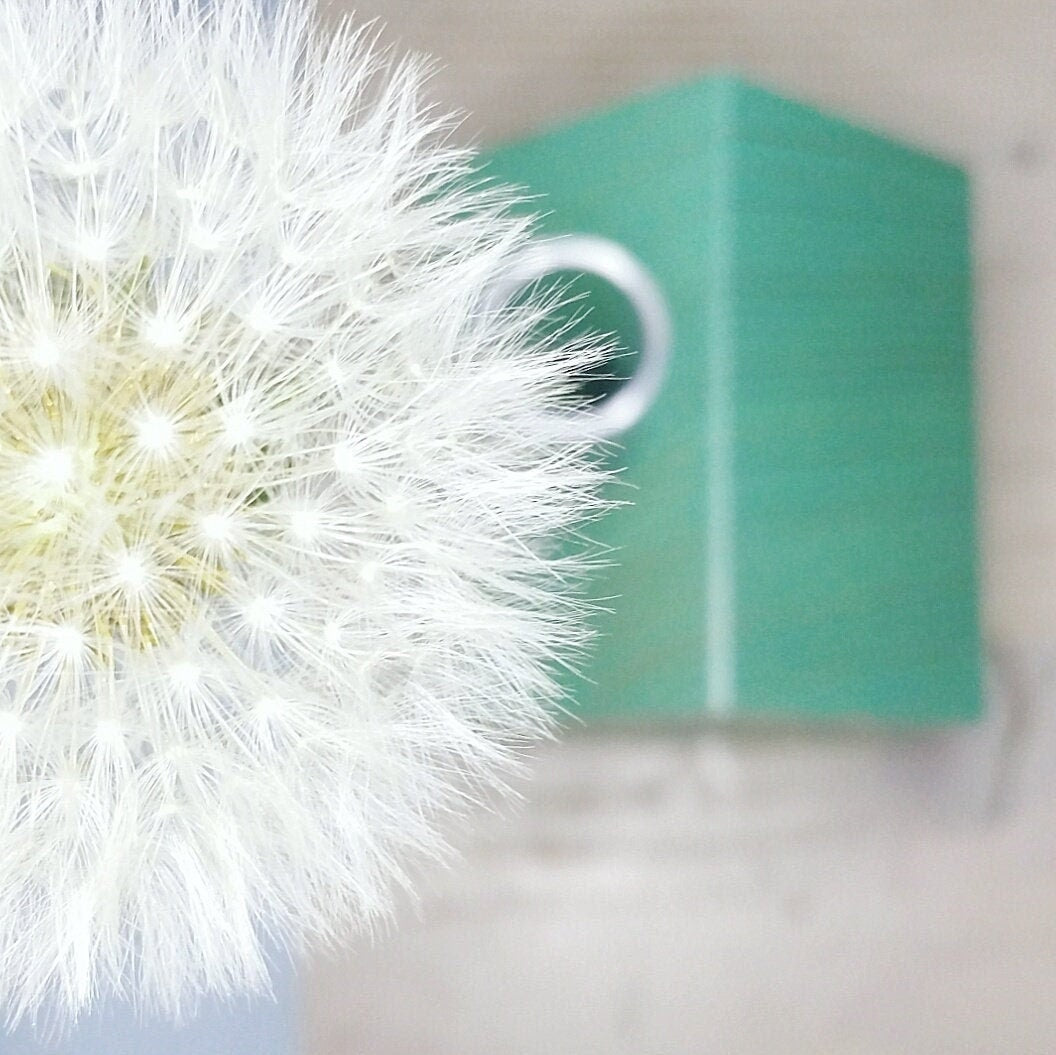 Serra M | Casa con provetta come vaso