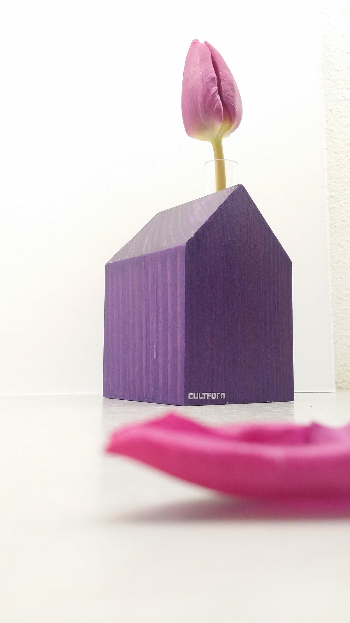 Gewächshaus M | Haus mit Reagenzglas als Vase