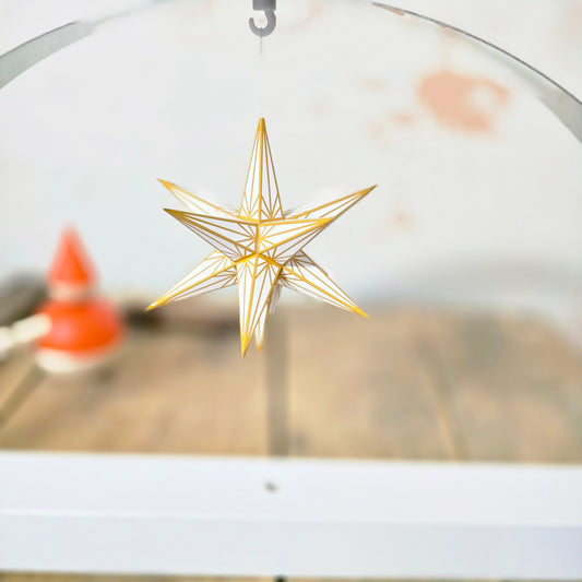 Weihnachtsstern - Haßlauer Weihnachtsstern