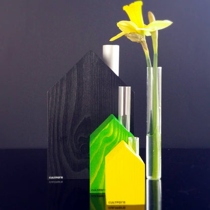 Serra MS | Casa con provetta come vaso