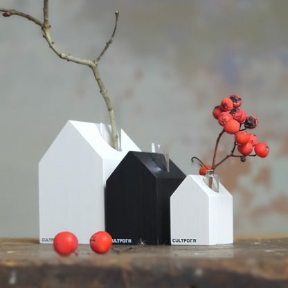 Gewächshaus S | Haus mit Reagenzglas als Vase