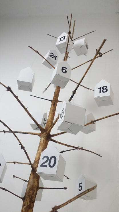 Calendario dell'avvento Casa Scatola 24