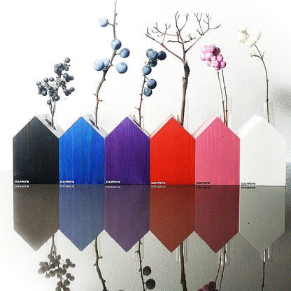 Serra M | Casa con provetta come vaso