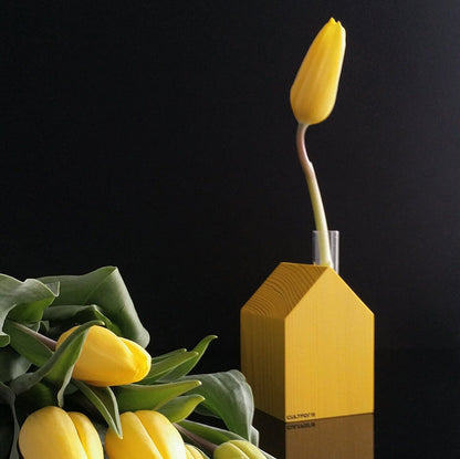Serra M | Casa con provetta come vaso